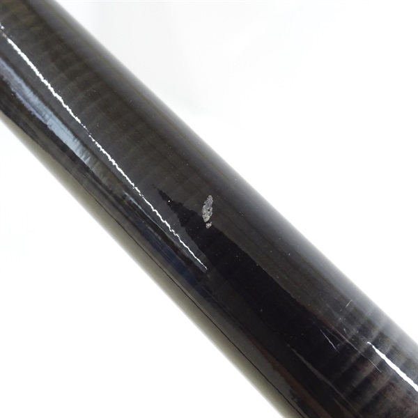 ＰＬＴＡＺＡＲ ＰＲＯ ＣＡＲＰ１２．２